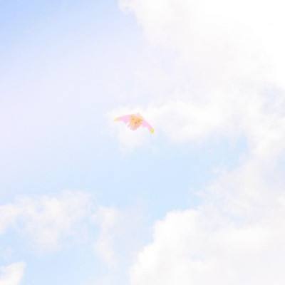 果盘梦幻修真官方版下载